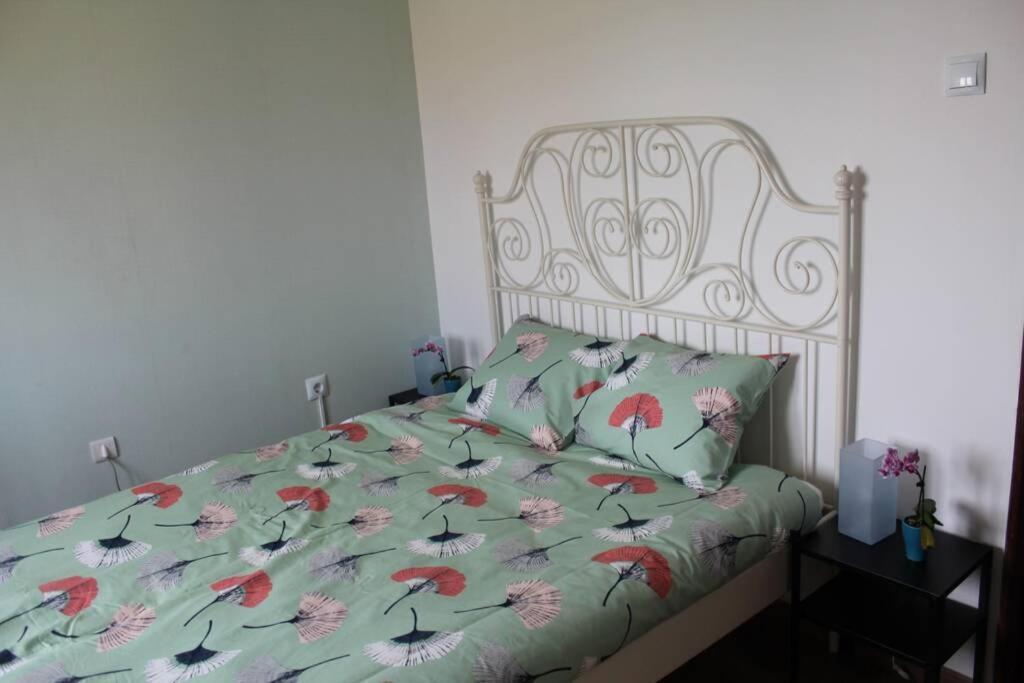 Villa House With Pool And Garden In Esmoriz Near Porto Esterno foto