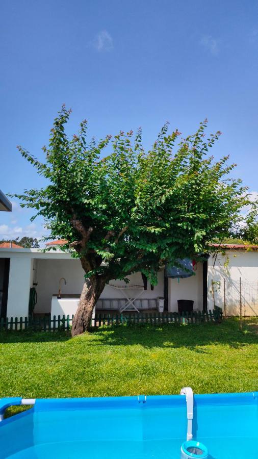 Villa House With Pool And Garden In Esmoriz Near Porto Esterno foto
